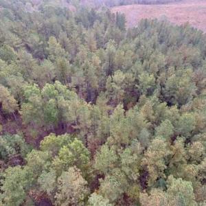 Photo of UNDER CONTRACT!!  21.2 Acres of Recreational and Hunting Land For Sale in Lunenburg County VA!