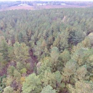 Photo of UNDER CONTRACT!!  21.2 Acres of Recreational and Hunting Land For Sale in Lunenburg County VA!