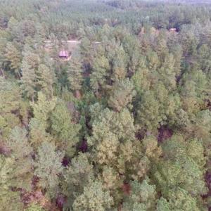 Photo of UNDER CONTRACT!!  21.2 Acres of Recreational and Hunting Land For Sale in Lunenburg County VA!