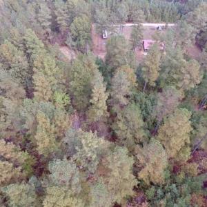 Photo of UNDER CONTRACT!!  21.2 Acres of Recreational and Hunting Land For Sale in Lunenburg County VA!