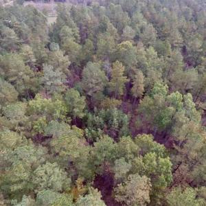 Photo of UNDER CONTRACT!!  21.2 Acres of Recreational and Hunting Land For Sale in Lunenburg County VA!
