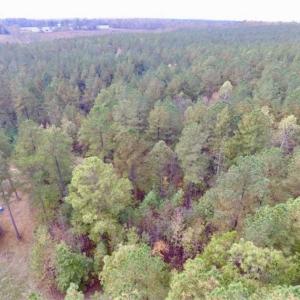 Photo of UNDER CONTRACT!!  21.2 Acres of Recreational and Hunting Land For Sale in Lunenburg County VA!