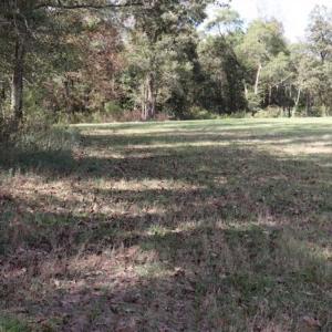Photo of 67.95 +/- acres of Pasture and Forest Land For Sale In Robeson County NC!
