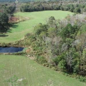 Photo of 67.95 +/- acres of Pasture and Forest Land For Sale In Robeson County NC!