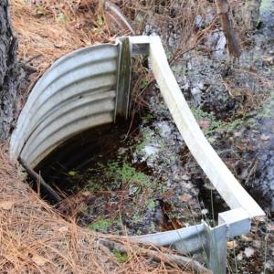 Photo of 67.95 +/- acres of Pasture and Forest Land For Sale In Robeson County NC!