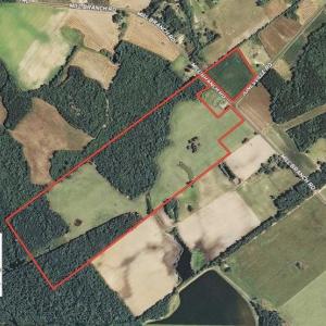 Photo of 67.95 +/- acres of Pasture and Forest Land For Sale In Robeson County NC!