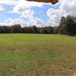 Photo of 67.95 +/- acres of Pasture and Forest Land For Sale In Robeson County NC!