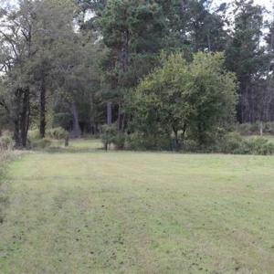 Photo of 67.95 +/- acres of Pasture and Forest Land For Sale In Robeson County NC!