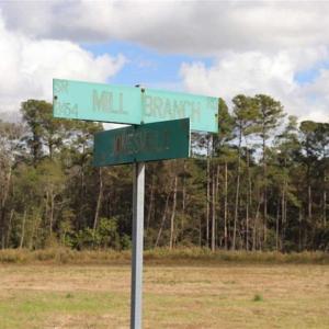 Photo of 67.95 +/- acres of Pasture and Forest Land For Sale In Robeson County NC!