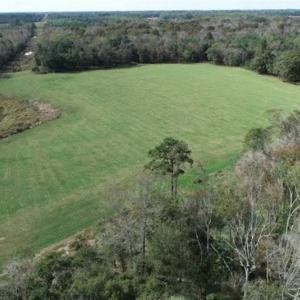 Photo of 67.95 +/- acres of Pasture and Forest Land For Sale In Robeson County NC!