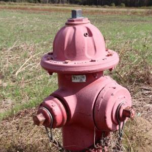 Photo of 67.95 +/- acres of Pasture and Forest Land For Sale In Robeson County NC!