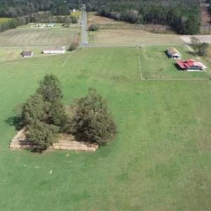 Photo of 67.95 +/- acres of Pasture and Forest Land For Sale In Robeson County NC!