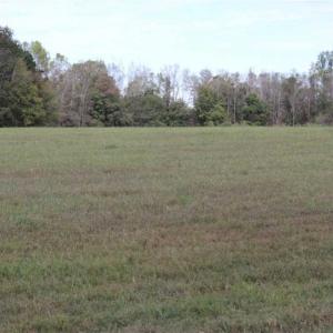 Photo of 67.95 +/- acres of Pasture and Forest Land For Sale In Robeson County NC!