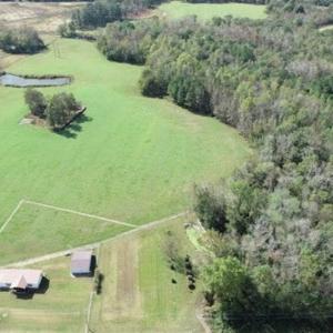 Photo of 67.95 +/- acres of Pasture and Forest Land For Sale In Robeson County NC!