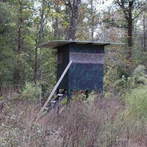 Photo of 67.95 +/- acres of Pasture and Forest Land For Sale In Robeson County NC!