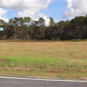 Photo of 67.95 +/- acres of Pasture and Forest Land For Sale In Robeson County NC!