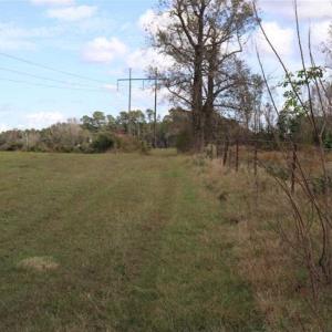 Photo of 67.95 +/- acres of Pasture and Forest Land For Sale In Robeson County NC!