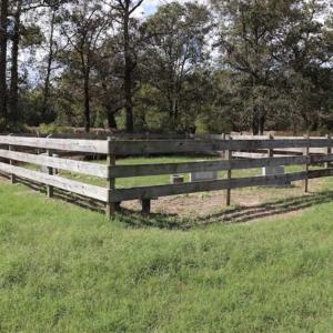 Photo of 67.95 +/- acres of Pasture and Forest Land For Sale In Robeson County NC!