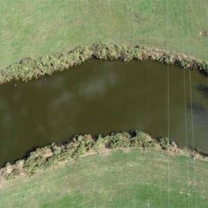 Photo of 67.95 +/- acres of Pasture and Forest Land For Sale In Robeson County NC!