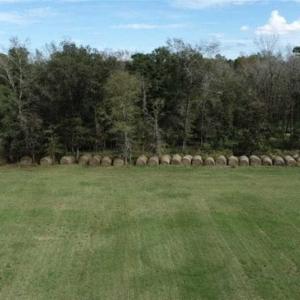 Photo of 67.95 +/- acres of Pasture and Forest Land For Sale In Robeson County NC!