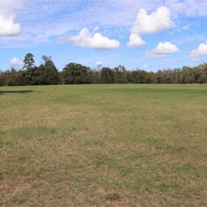 Photo of 67.95 +/- acres of Pasture and Forest Land For Sale In Robeson County NC!
