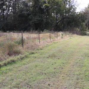 Photo of 67.95 +/- acres of Pasture and Forest Land For Sale In Robeson County NC!