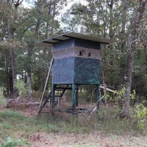 Photo of 67.95 +/- acres of Pasture and Forest Land For Sale In Robeson County NC!