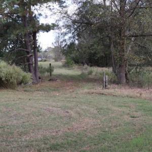 Photo of 67.95 +/- acres of Pasture and Forest Land For Sale In Robeson County NC!