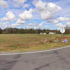 Photo of 67.95 +/- acres of Pasture and Forest Land For Sale In Robeson County NC!