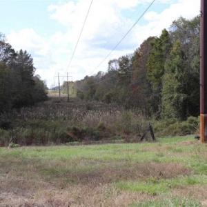 Photo of 67.95 +/- acres of Pasture and Forest Land For Sale In Robeson County NC!