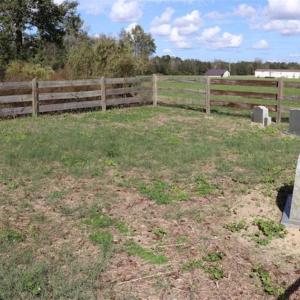 Photo of 67.95 +/- acres of Pasture and Forest Land For Sale In Robeson County NC!