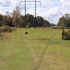 Photo of 67.95 +/- acres of Pasture and Forest Land For Sale In Robeson County NC!
