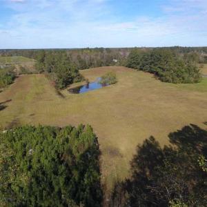 Photo of UNDER CONTRACT!!  32.85 Ac of Residential and Recreational Land For Sale in Columbus County NC!