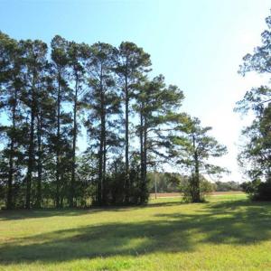 Photo of UNDER CONTRACT!!  32.85 Ac of Residential and Recreational Land For Sale in Columbus County NC!
