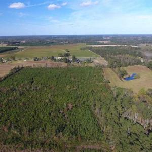 Photo of UNDER CONTRACT!!  32.85 Ac of Residential and Recreational Land For Sale in Columbus County NC!