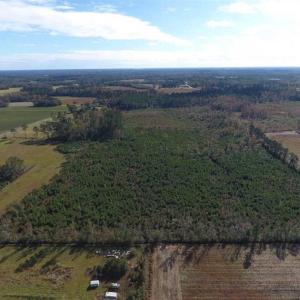 Photo of UNDER CONTRACT!!  32.85 Ac of Residential and Recreational Land For Sale in Columbus County NC!