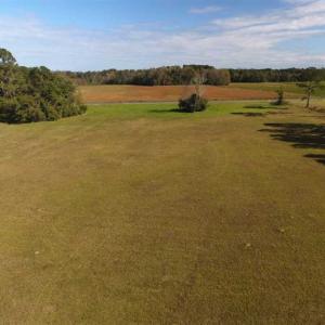 Photo of UNDER CONTRACT!!  32.85 Ac of Residential and Recreational Land For Sale in Columbus County NC!