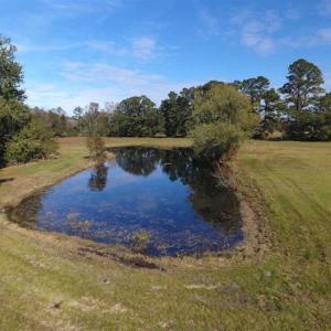 Photo of UNDER CONTRACT!!  32.85 Ac of Residential and Recreational Land For Sale in Columbus County NC!