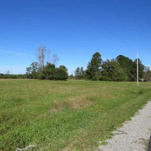 Photo of UNDER CONTRACT!!  32.85 Ac of Residential and Recreational Land For Sale in Columbus County NC!