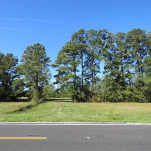 Photo of UNDER CONTRACT!!  32.85 Ac of Residential and Recreational Land For Sale in Columbus County NC!