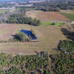 Photo of UNDER CONTRACT!!  32.85 Ac of Residential and Recreational Land For Sale in Columbus County NC!
