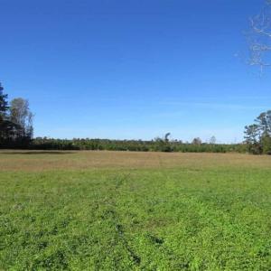 Photo of UNDER CONTRACT!!  32.85 Ac of Residential and Recreational Land For Sale in Columbus County NC!