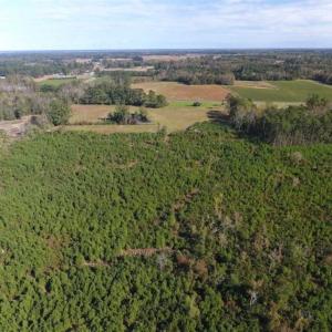 Photo of UNDER CONTRACT!!  32.85 Ac of Residential and Recreational Land For Sale in Columbus County NC!