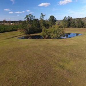 Photo of UNDER CONTRACT!!  32.85 Ac of Residential and Recreational Land For Sale in Columbus County NC!