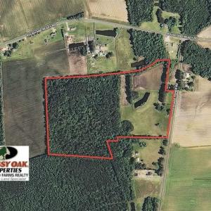 Photo of UNDER CONTRACT!!  32.85 Ac of Residential and Recreational Land For Sale in Columbus County NC!