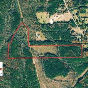 Photo of UNDER CONTRACT!  50 Acres of Hunting and Timber Land For Sale in Lee County NC!