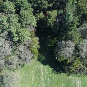 Photo of 1.47 acres of Residential Waterfront Land For Sale in Accomack County VA!