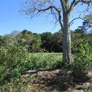 Photo of 1.47 acres of Residential Waterfront Land For Sale in Accomack County VA!