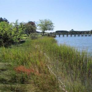 Photo of 1.47 acres of Residential Waterfront Land For Sale in Accomack County VA!