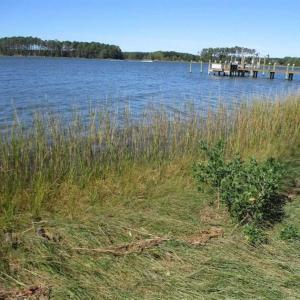 Photo of 1.47 acres of Residential Waterfront Land For Sale in Accomack County VA!